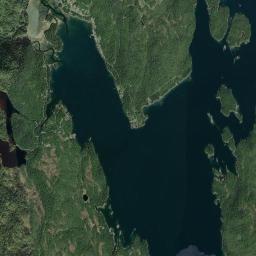 Whale Pass Alaska map(satellite map)