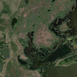 Berdyuzhskiy Rayon Satellite Map