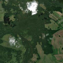 Savinskaya Satellite Map