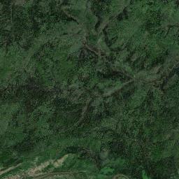 Zelenogorskiy Satellite Map