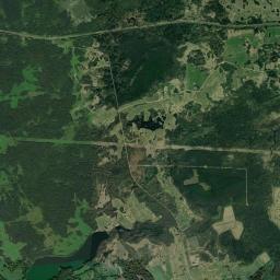 Lyoznyenski Rayon Satellite Map