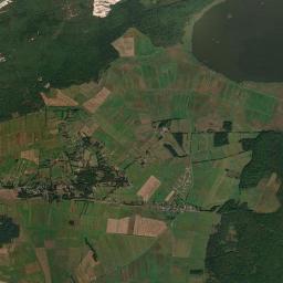 Satelita