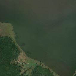 Satelita