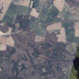 Satelita