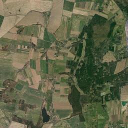 Satelita