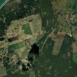 Satelita