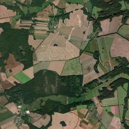 Satelita