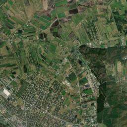 Satelita