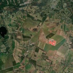 Satelita