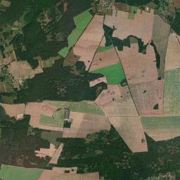 Satelita
