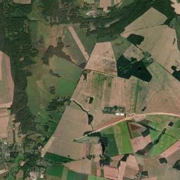 Satelita