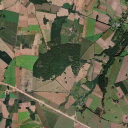 Satelita
