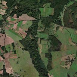 Satelita