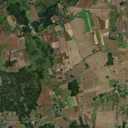 Satelita