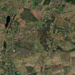 Satelita