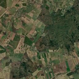 Satelita