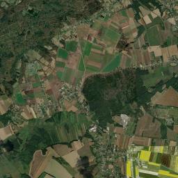 Satelita