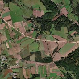 Satelita