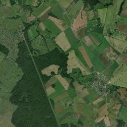 Satelita