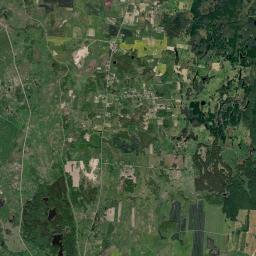 Satelita