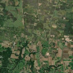 Satelita