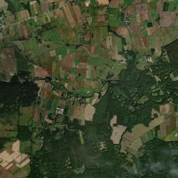 Satelita