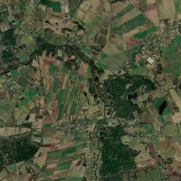 Satelita
