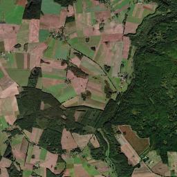 Satelita