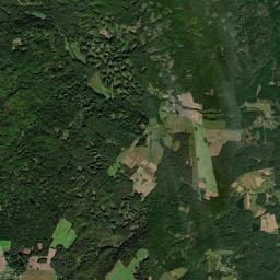 Satelita