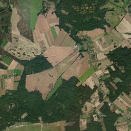 Satelita