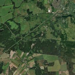 Mamonovo Satellite Map