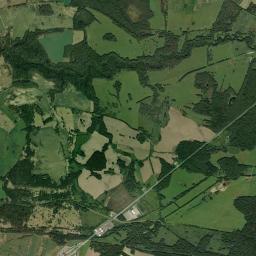 Satelita