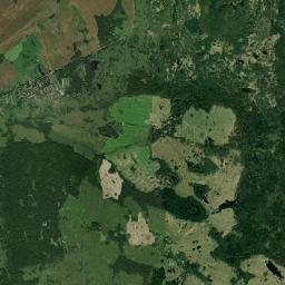 Satelita