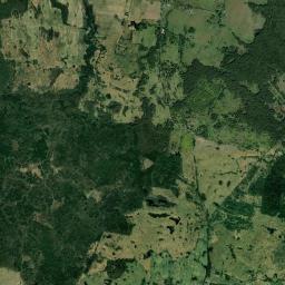Satelita