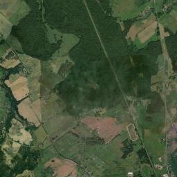 Satelita