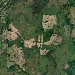 Satelita