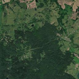 Satelita