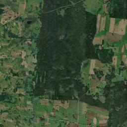 Satelita