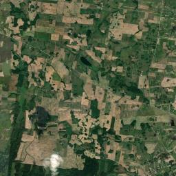 Satelita