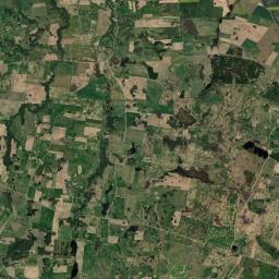Satelita