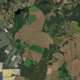 Satelita