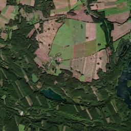 Satelita