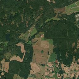 Satelita