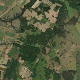 Satelita