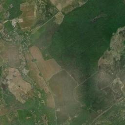 Satelita