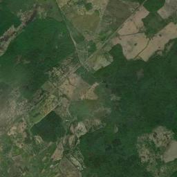 Satelita