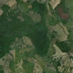Satelita
