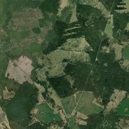 Satelita