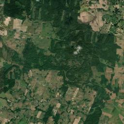 Satelita
