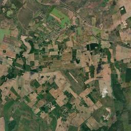 Satelita